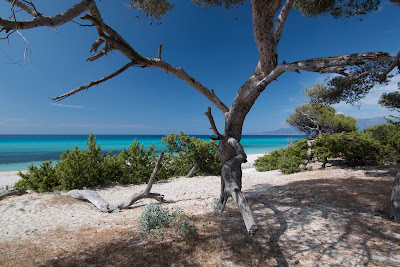 Corsicatours - Tour opérateur local à Porto-Vecchio