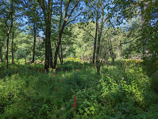Nature Preserve «Captain Daniel Wright Woods Forest Preserve», reviews and photos, 24830 N St Marys Rd, Mettawa, IL 60045, USA