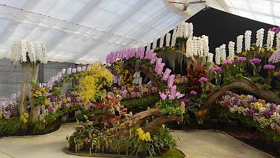 夜越山洋ランまつり