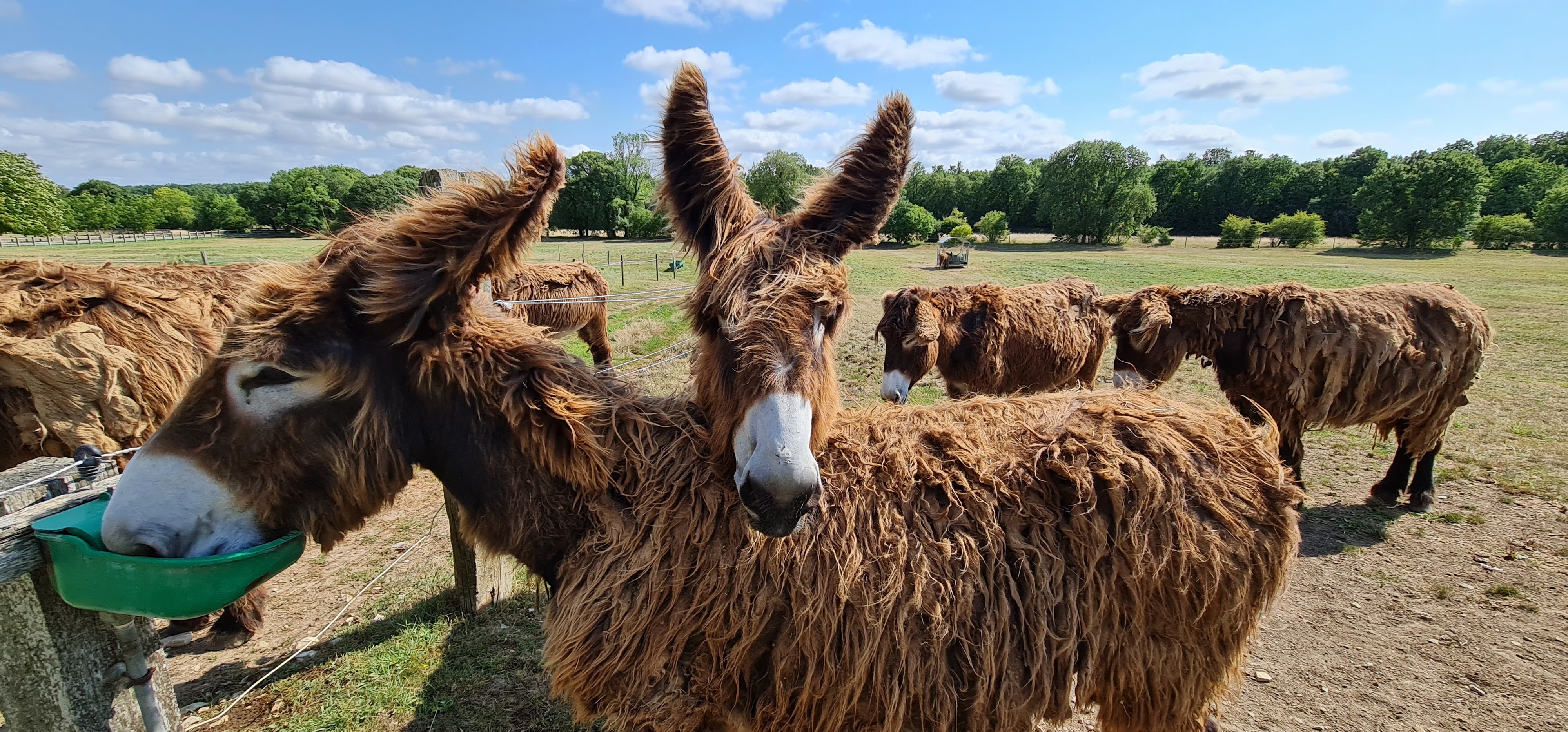 Photo n° 3 de l'avis de Jean.r fait le 23/07/2022 à 17:55