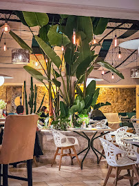 Les plus récentes photos du Restaurant italien Nacional Trattoria à Antibes - n°1