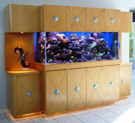 Tropical Fish Store «Jawz.net», reviews and photos, 75 N Saw Mill River Rd, Elmsford, NY 10523, USA