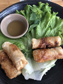 Rouleau de printemps du Restaurant de cuisine fusion asiatique Xin Gainian à Paris - n°2