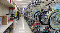 Academy Sports + Outdoors