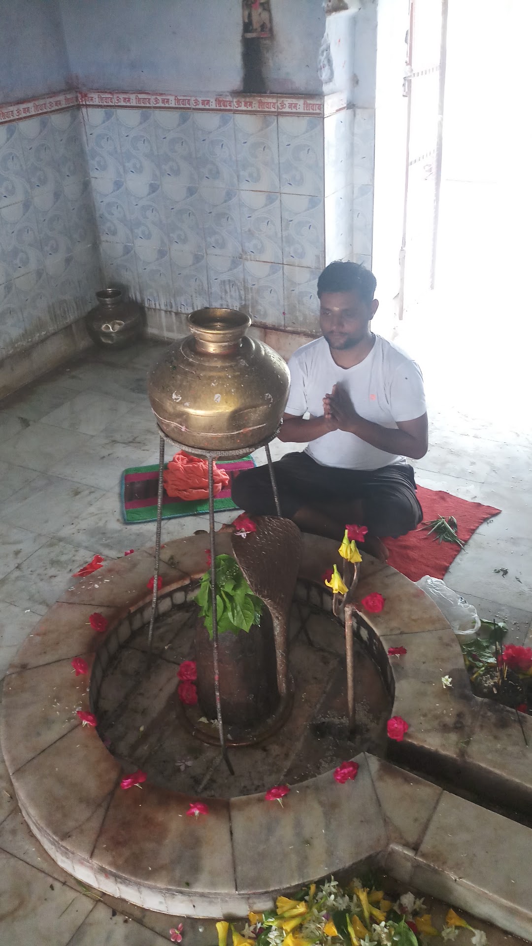 प्राकृतिक चिकित्सा संस्थान
