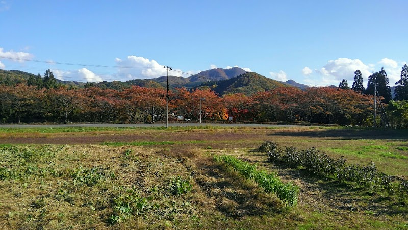 さくら園