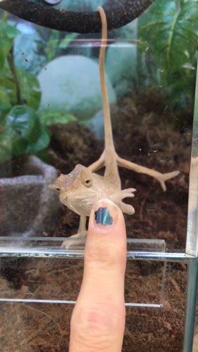 Pet Supply Store «Petco Animal Supplies», reviews and photos, 4915 E 41st St C, Tulsa, OK 74135, USA