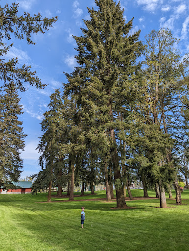 Park «Rivercrest Park», reviews and photos, 131 Park Dr, Oregon City, OR 97045, USA