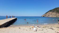 Ormanlı Plajı'in fotoğrafı uzun koy ile birlikte