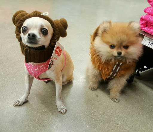 Pet Supply Store «Petco Animal Supplies», reviews and photos, 8161 Beverly Blvd, Los Angeles, CA 90048, USA