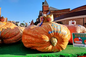 Circleville Pumpkin Show image