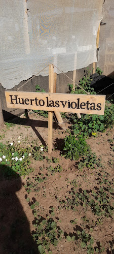 HUERTO LAS VIOLETAS - Centro de jardinería