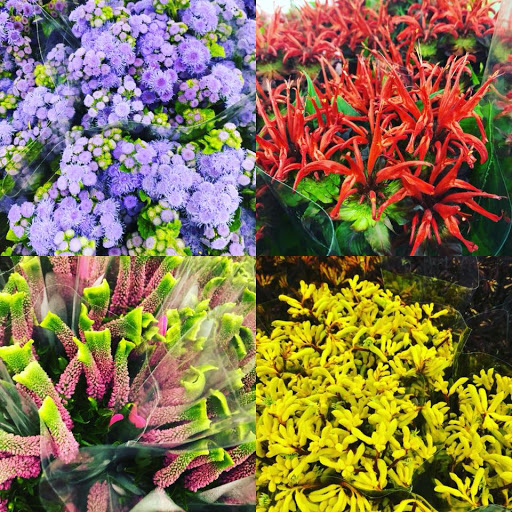 Florist «Potomac Wholesaler», reviews and photos, 2403 Linden Ln, Silver Spring, MD 20910, USA