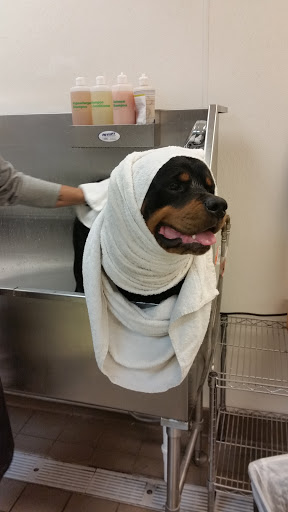 Pet Supply Store «Pet Supplies Plus», reviews and photos, 4751 Hiawatha Ave, Minneapolis, MN 55406, USA