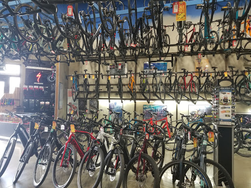 Bicycle Store «Bicycle Centres of Everett», reviews and photos, 4707 Evergreen Way, Everett, WA 98203, USA