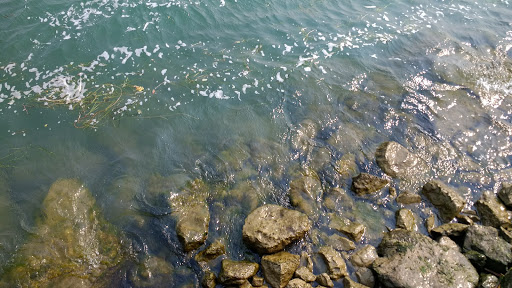 Park «Mt. Elliott Park», reviews and photos, 110 Mt Elliott St, Detroit, MI 48207, USA