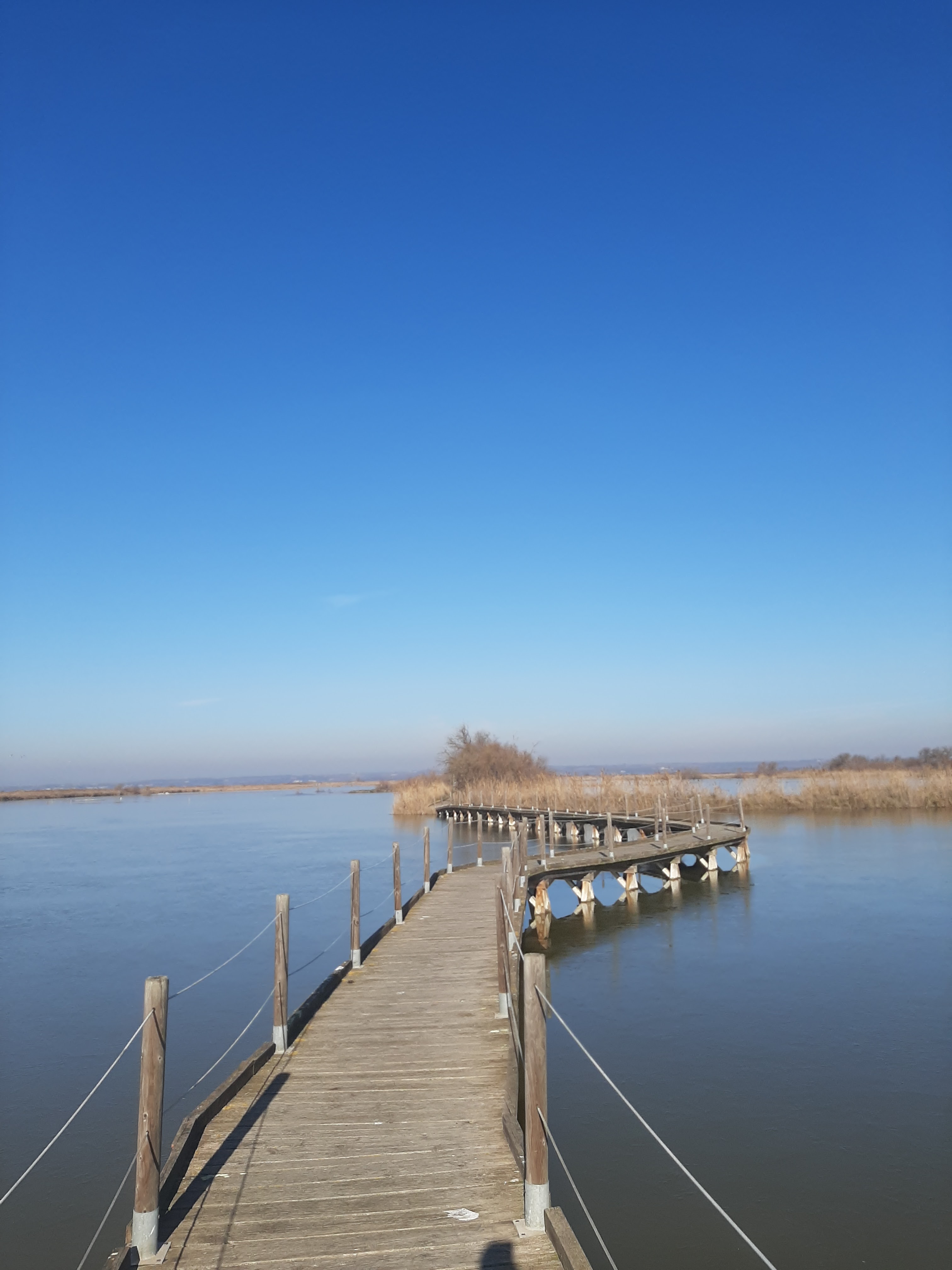 Photo n° 2 de l'avis de huynh.h fait le 15/01/2022 à 17:54