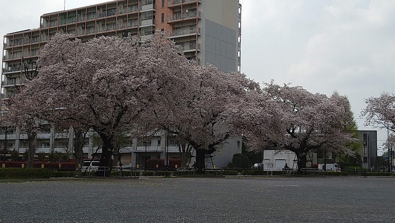 向原中央広場