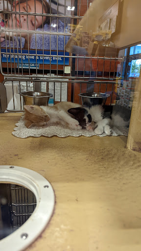 Pet Supply Store «PetSmart», reviews and photos, 290 Town Center Pkwy, Slidell, LA 70458, USA