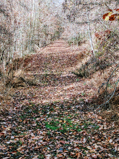 Amusement Park «Scott County Park & Golf Course», reviews and photos, 247 Fore Dr # 101, Gate City, VA 24251, USA