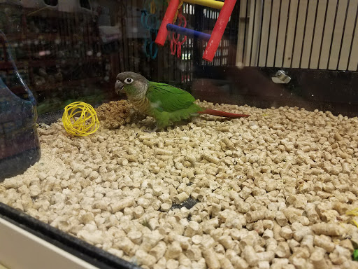 Pet Supply Store «PetSmart», reviews and photos, 401 S Mt Juliet Rd #645, Mt Juliet, TN 37122, USA