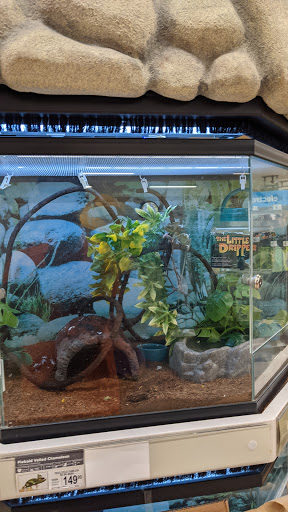 Pet Supply Store «Petco Animal Supplies», reviews and photos, 10315 E Shelby Dr, Collierville, TN 38017, USA