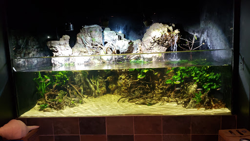 Tropical Fish Store «Manhattan Aquariums», reviews and photos, 522 W 37th St, New York, NY 10018, USA