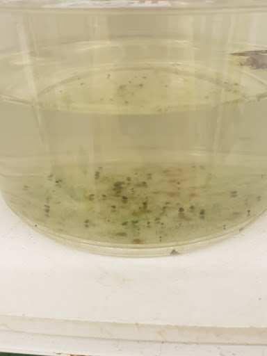 Pet Supply Store «Pet Supplies Plus», reviews and photos, 2471 E State St, Hermitage, PA 16148, USA