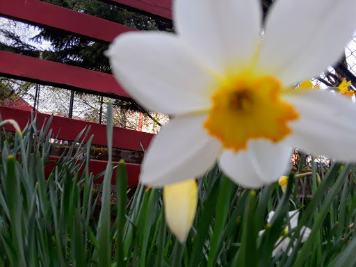 History Museum «Willamette Heritage Center», reviews and photos, 1313 Mill St SE, Salem, OR 97301, USA