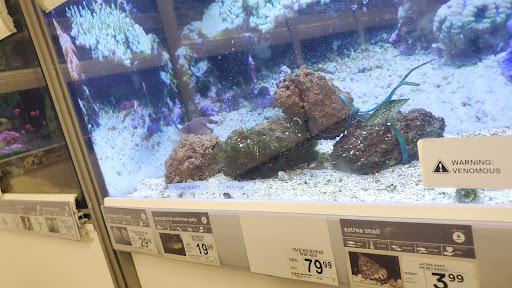 Pet Supply Store «Petco Animal Supplies», reviews and photos, 3012 Bridgepointe Pkwy, San Mateo, CA 94404, USA