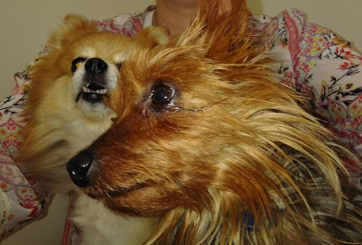 2007 Apple Ave, Muskegon, MI 49442, USA