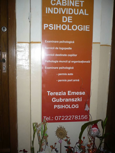 Cabinet psihologie logopedie - Terezia Emese Gubranszki - <nil>