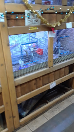 Pet Store «Critter Pet Shop», reviews and photos, 19309 Ecorse Rd, Allen Park, MI 48101, USA