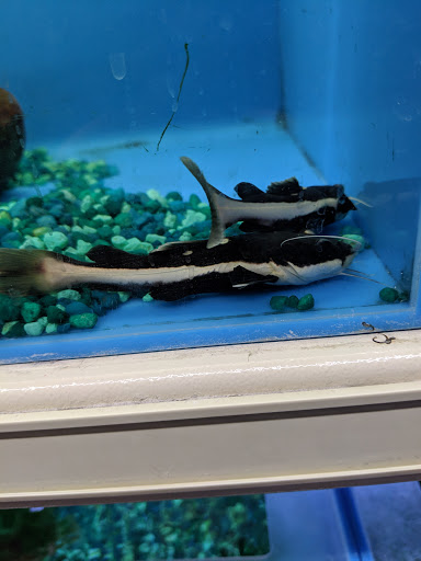 Pet Store «Pets Plus - Quakertown», reviews and photos, 117 S West End Blvd, Quakertown, PA 18951, USA