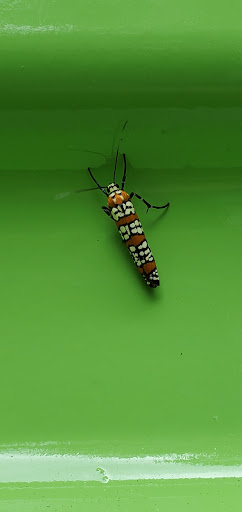 Self-Storage Facility «Extra Space Storage», reviews and photos, 911 County Rd 517, Hackettstown, NJ 07840, USA