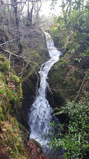 Rushmill Burn