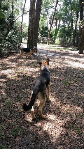 Dog Park «Arbor Dog Park», reviews and photos, 1405 N Grant St, Longwood, FL 32750, USA