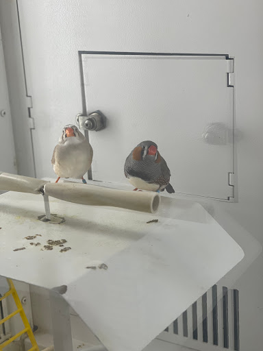 Pet Supply Store «Petco Animal Supplies», reviews and photos, 1 US-46, Totowa, NJ 07512, USA