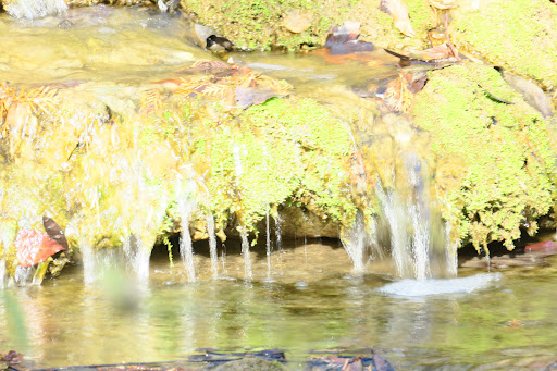 Grocery Store «Natural Bridge General Store», reviews and photos, 593 Wert Faulkner Hwy, Natural Bridge Station, VA 24579, USA