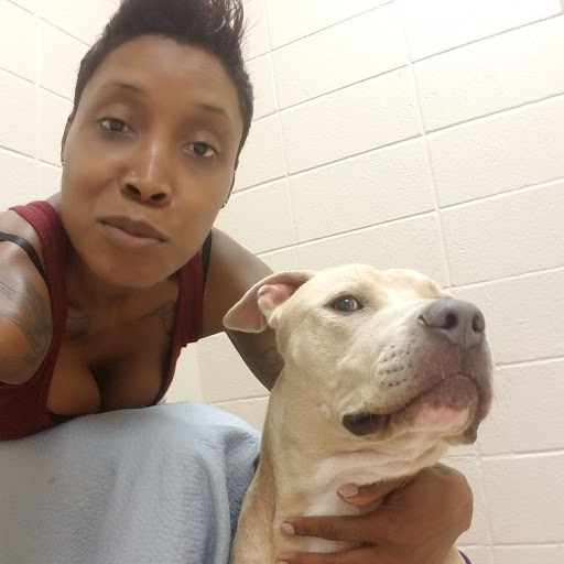 Pet Supply Store «PetSmart», reviews and photos, 2309 I-20, Grand Prairie, TX 75052, USA