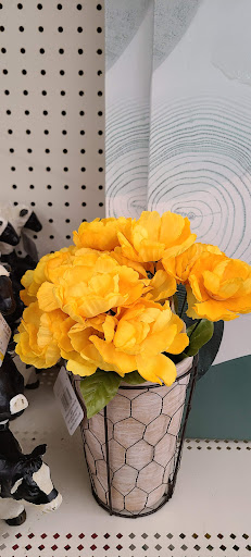 Craft Store «Michaels», reviews and photos, 1977 Scenic Hwy N G, Snellville, GA 30078, USA