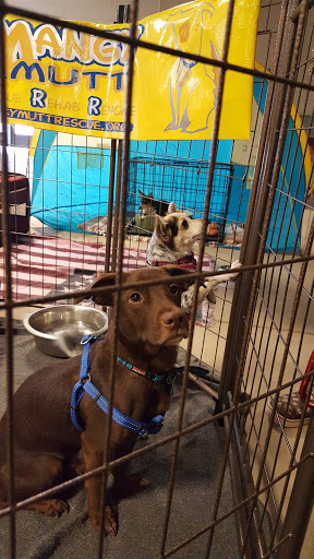 Event Venue «WestWorld of Scottsdale», reviews and photos, 16601 N Pima Rd, Scottsdale, AZ 85260, USA