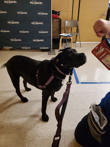 Pet Supply Store «PetSmart», reviews and photos, 5401 N Garland Ave, Garland, TX 75040, USA