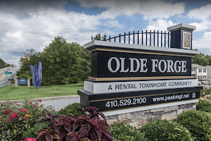 Olde Forge Townhomes image