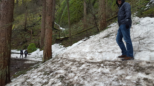 Tourist Attraction «Wahkeena Falls», reviews and photos, Wahkeena Trail #420, Corbett, OR 97019, USA