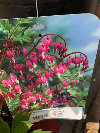 Hardware Store «Hardware Hank», reviews and photos, 1017 Central Ave NW, East Grand Forks, MN 56721, USA