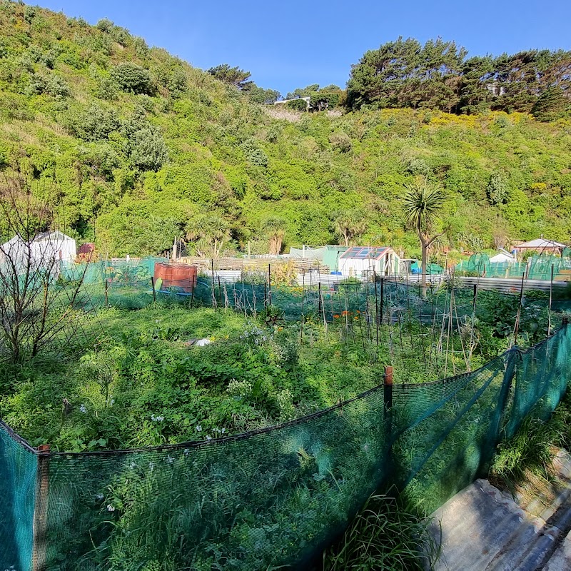 Owhiro Bay Community Gardens