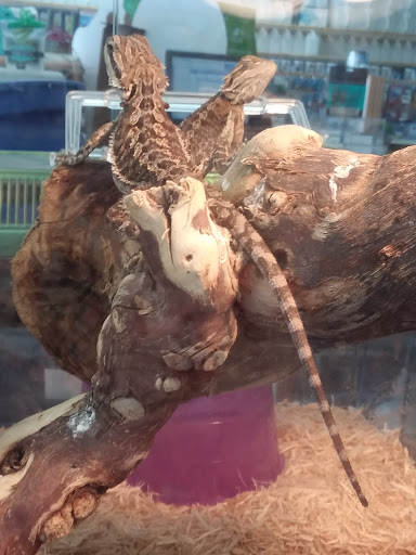 Pet Store «Wet Pets N Critters», reviews and photos, 103 TX-281 Loop, Longview, TX 75605, USA