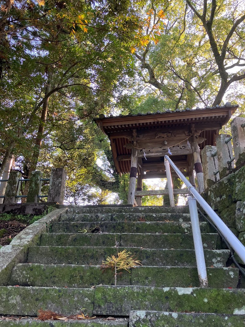 熊野神社の大楠