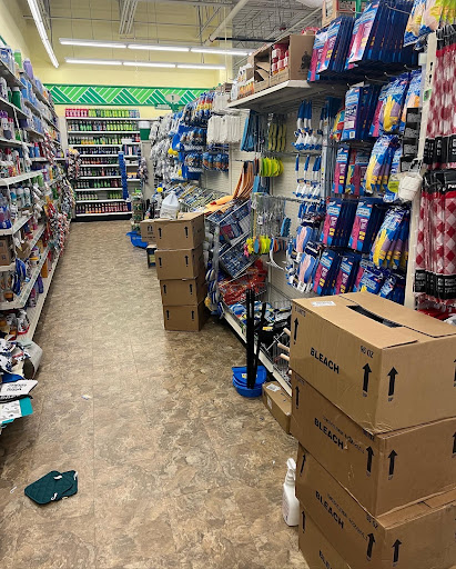 Dollar Store «Dollar Tree», reviews and photos, 1243 E Higgins Rd, Schaumburg, IL 60173, USA